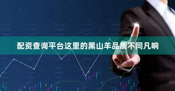 配资查询平台这里的黑山羊品质不同凡响