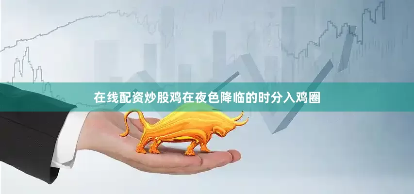 在线配资炒股鸡在夜色降临的时分入鸡圈