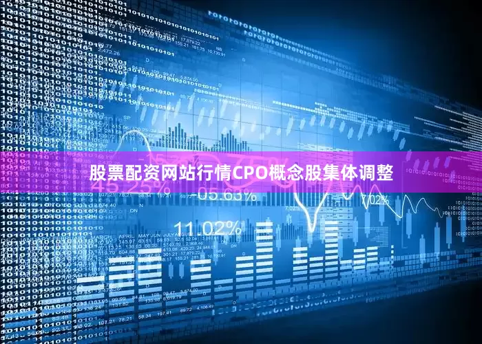 股票配资网站行情CPO概念股集体调整