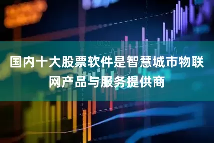 国内十大股票软件是智慧城市物联网产品与服务提供商