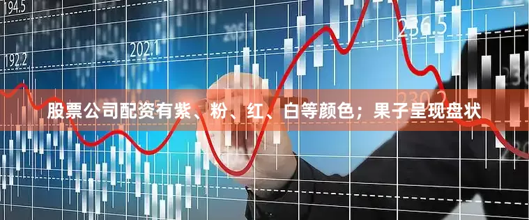 股票公司配资有紫、粉、红、白等颜色；果子呈现盘状