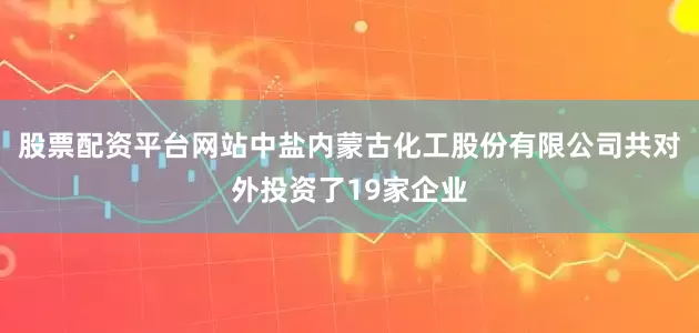 股票配资平台网站中盐内蒙古化工股份有限公司共对外投资了19家企业
